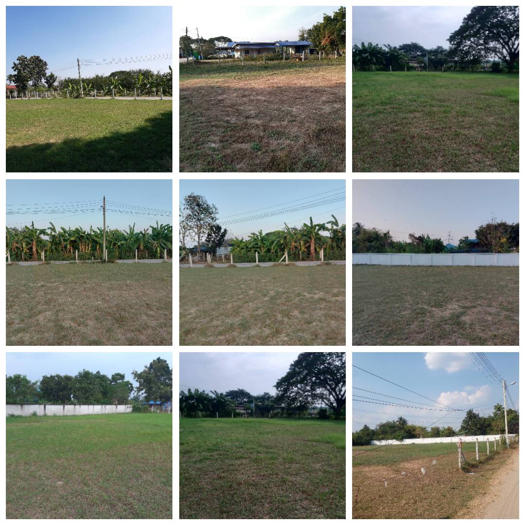 ขายที่ดินทำเลสวยติดถนนคอนกรีต ตำบลหนองกลางนา เมืองราชบุรี เหมาะทำบ้านเช่าหรือขายของ