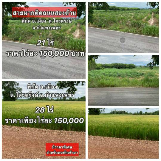 ขายที่ดินสวยราคาถูก ติดทางสาธารณะ ตำบลไตรตรึงษ์ อำเภอเมืองกำแพงเพขร