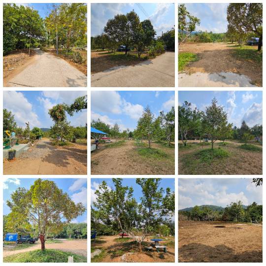 ขายที่ดินติดถนนคอนกรีต วิวเขา  อำเภอขลุง จันทบุรี