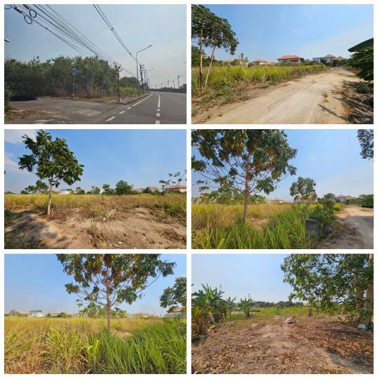 ขายที่ดินติดสนามกอล์ฟ บ้านฉาง จังหวัดระยอง ที่สวยเหมาะสร้างบ้านหรือทำจัดสรร