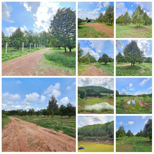 ขายสวนทุเรียน 38 ไร่ ติดถนนสาธารณะ  นายายอาม จันทบุรี