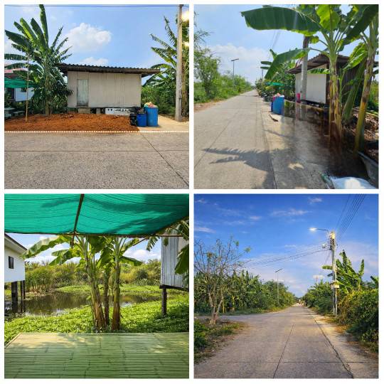 ขายที่ดิน  ติดถนนคอนกรีต อำเภอบางเสาธง  สมุทรปราการ เข้า ออก ได้หลายเส้นทาง