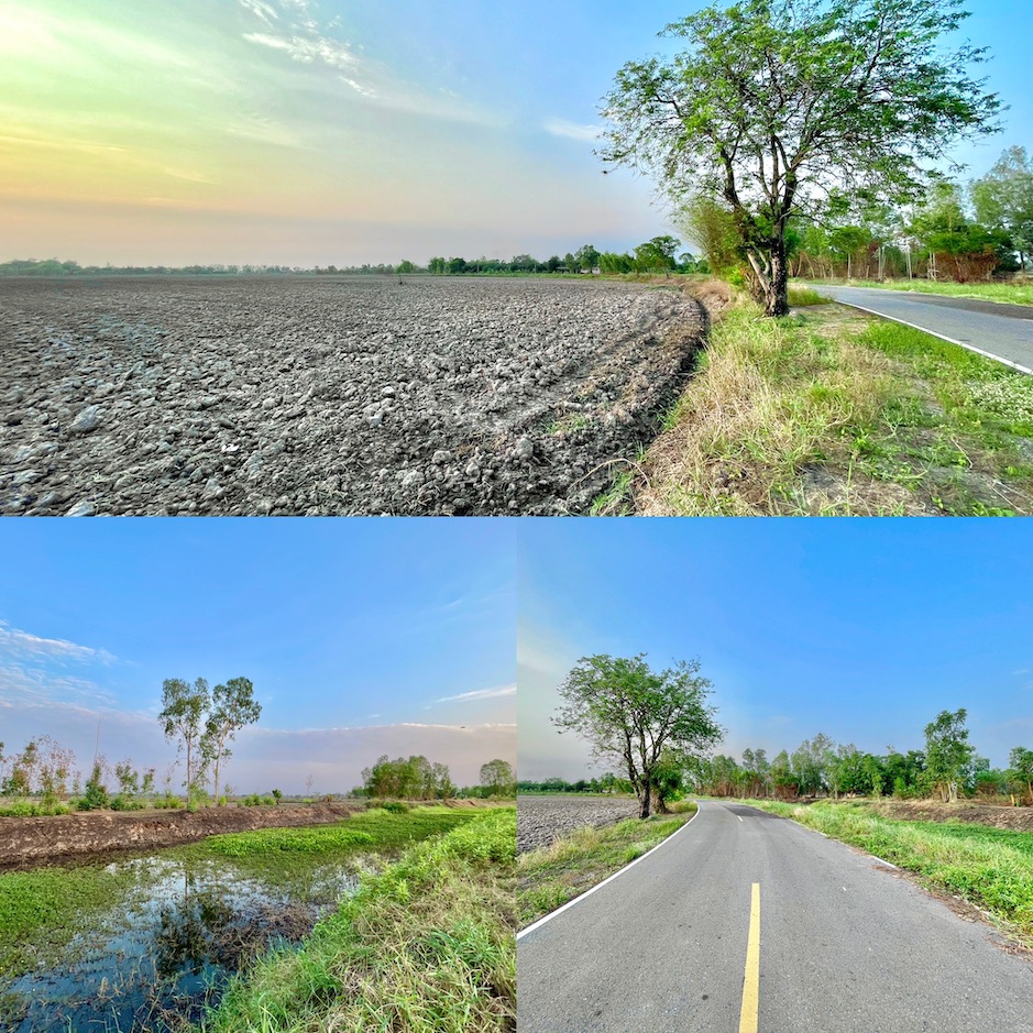 ขายที่นาติดคลอง-ติดถนนลาดยาง 7 ไร่ 3 งาน 38.7 ตารางวา ต.เกาะโพธิ์ อ.เมือง จ.นครนายก