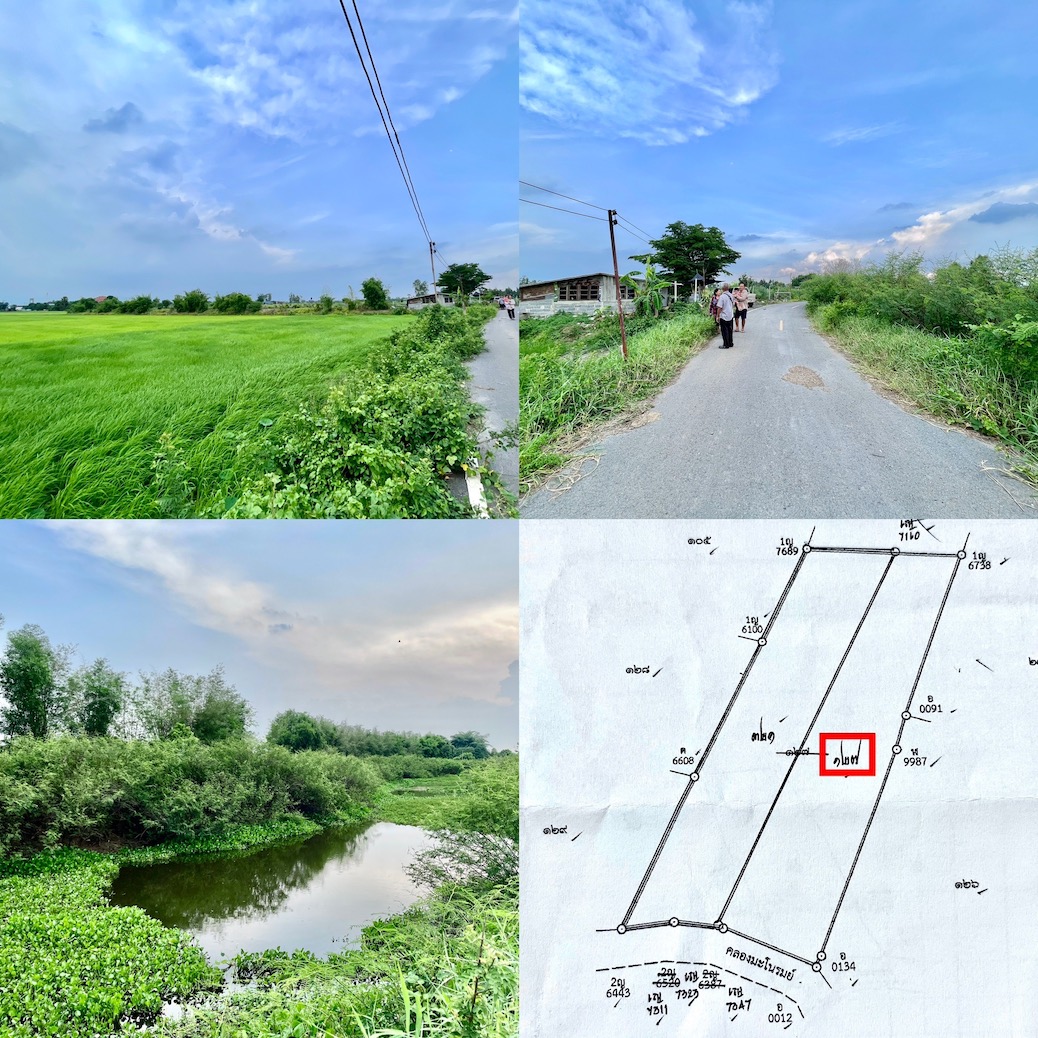 ขายที่นาติดคลอง/ติดลาดยาง 5 ไร่ 1 งาน 35.2 ตารางวา ต.เกาะโพธิ์ อ.ปากพลี จ.นครนายก