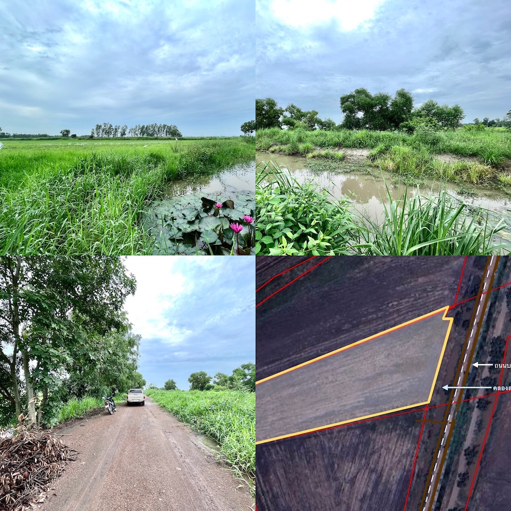 ขายที่นาราคาถูกติดคลอง-ติดถนน 5 ไร่ ต.เกาะโพธิ์ อ.ปากพลี จ.นครนายก