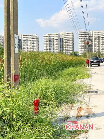 ขายที่ดิน ถ.บางนา ตราด กม.15 ใกล้สนามบินสุวรรณภูมิ ซอย บ.ทองไชยอุตสาหกรรม เนื้อที่1ไร่80ตรว