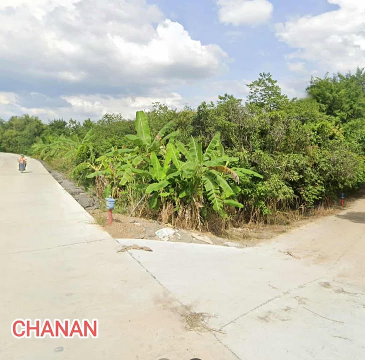 ขายที่ดินในเชียงใหม่คันทรี่ การ์เด็นท์ ถ.รอบเมืองเชียงใหม่(สาย1006) อ.สันกำแพง เชียงใหม่ เนื้อที่1ไร่295ตรว