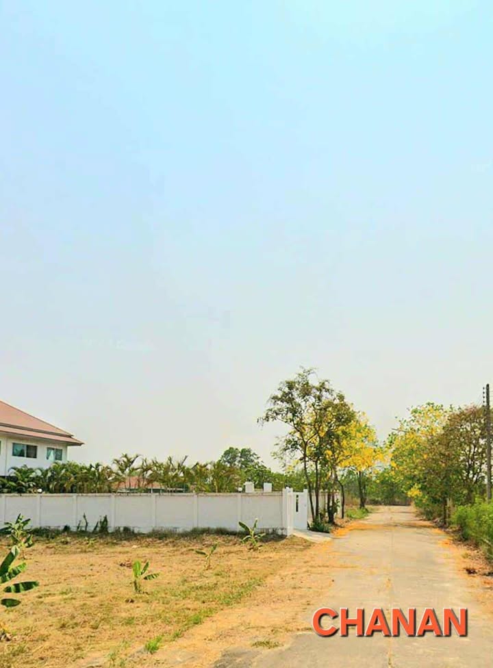 ขายที่ดิน เวลเนสซิตี้ ถ.โยธาธฺิการ พระนครศรีอยุธยา3111 อ.บางไทร เนื้อที่395ตรว