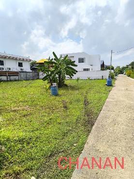 ขายที่ดิน ถ.บางนา ตราด กม18 ซ.หมู่บ้านชัยพฤกษ์6แยก41 เนื้อที่102ตรว