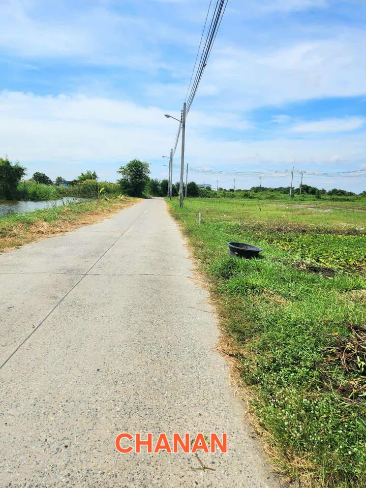 ขายที่ดิน ถ.ตำหรุ บางพลี ซ.ศรีสัมพันธ์3 ซ.รอดเพราะทรัพย์ เนื้อที่259ตรว