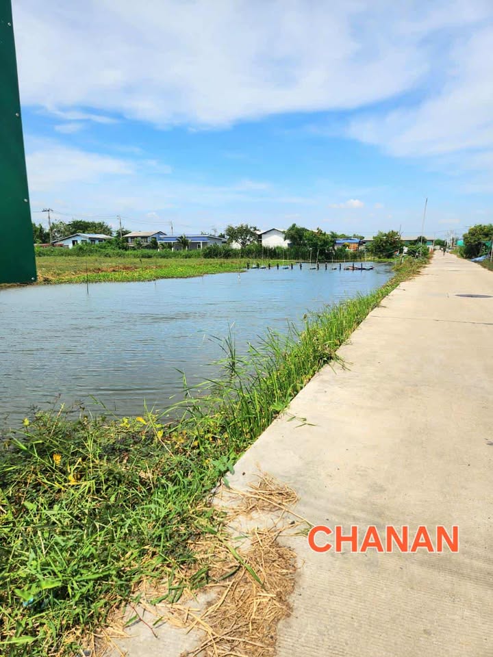 ขายที่ดิน ถ.ตำหรุ บางพลี ซ.ศรีสัมพันธ์3 ซ.รอดเพราะทรัพย์ เนื้อที่259ตรว