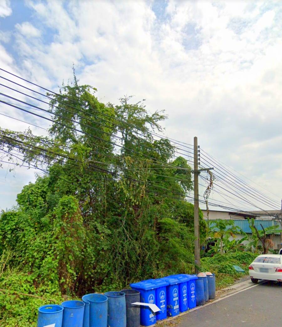 ขายที่ดิน พื้นที่สีม่วง ถ.เทพารักษ์กม19 ซ.ไทยประกัน1แยก8 สมุทรปราการ เนื้อที่186ตรว