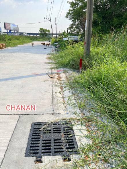 ขายที่ดิน ถ.แพรกษา ซ.เทศบาลบางปู26 อ.เมืองสมุทรปราการ จ.สมุทรปราการ เนื้อที่1ไร่86.8ตรว