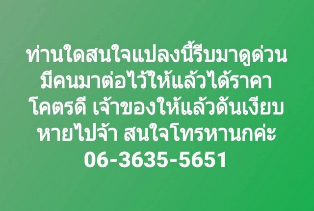 อสังหาฯ