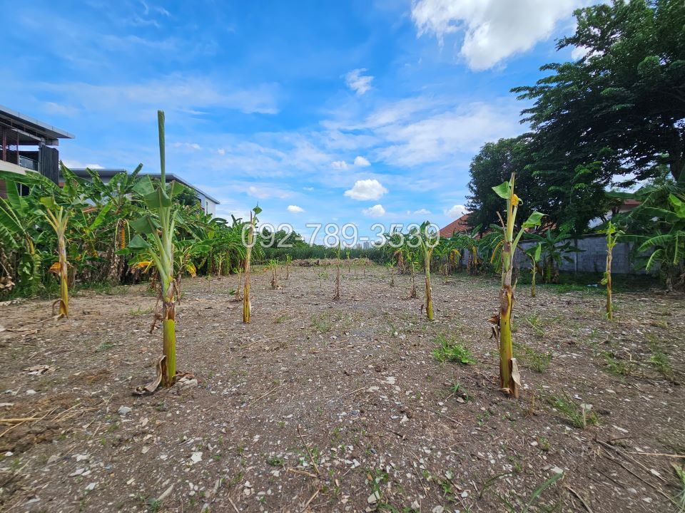 ที่ดินแจ้งวัฒนะ ปากเกร็ด นนทบุรี 2 ไร่ ใกล้รถไฟฟ้าสายสีชมพู