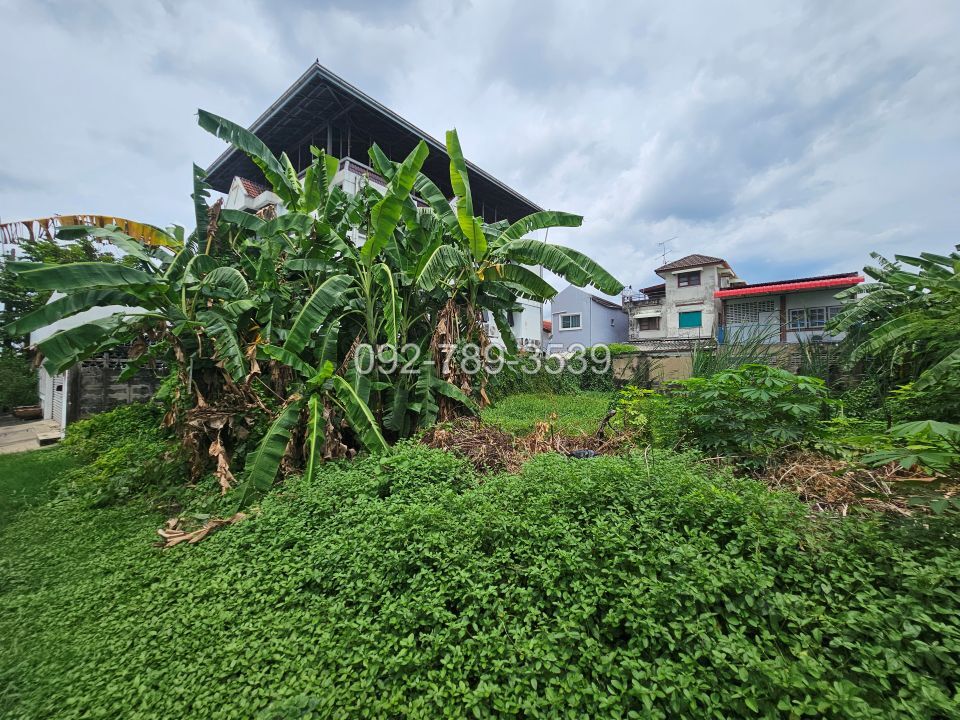 ที่ดินแจ้งวัฒนะ14 ซอยชุมชน5 หมู่บ้านเมืองทองนิเวศน์1 เกษตรนิเวศน์