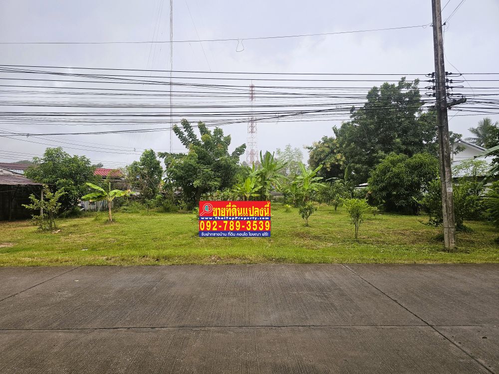 ที่ดินบ้านวังยาง นครชุม กำแพงเพชร