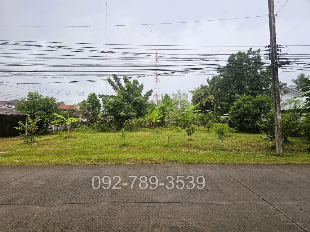 ที่ดินบ้านวังยาง นครชุม กำแพงเพชร