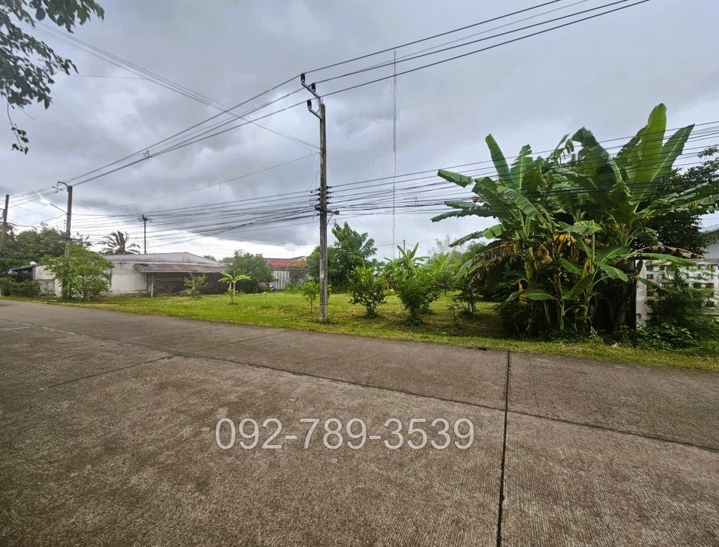 ที่ดินบ้านวังยาง นครชุม กำแพงเพชร