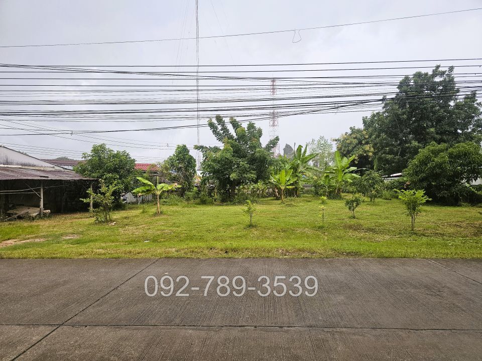 ที่ดินบ้านวังยาง นครชุม กำแพงเพชร