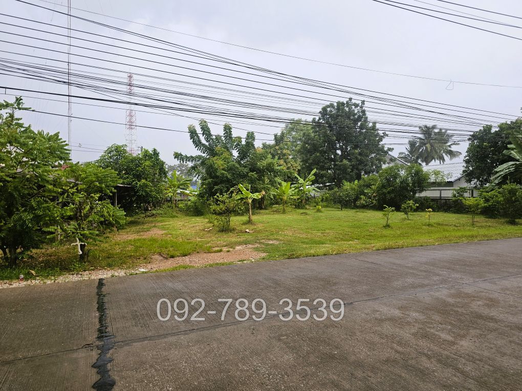 ที่ดินบ้านวังยาง นครชุม กำแพงเพชร