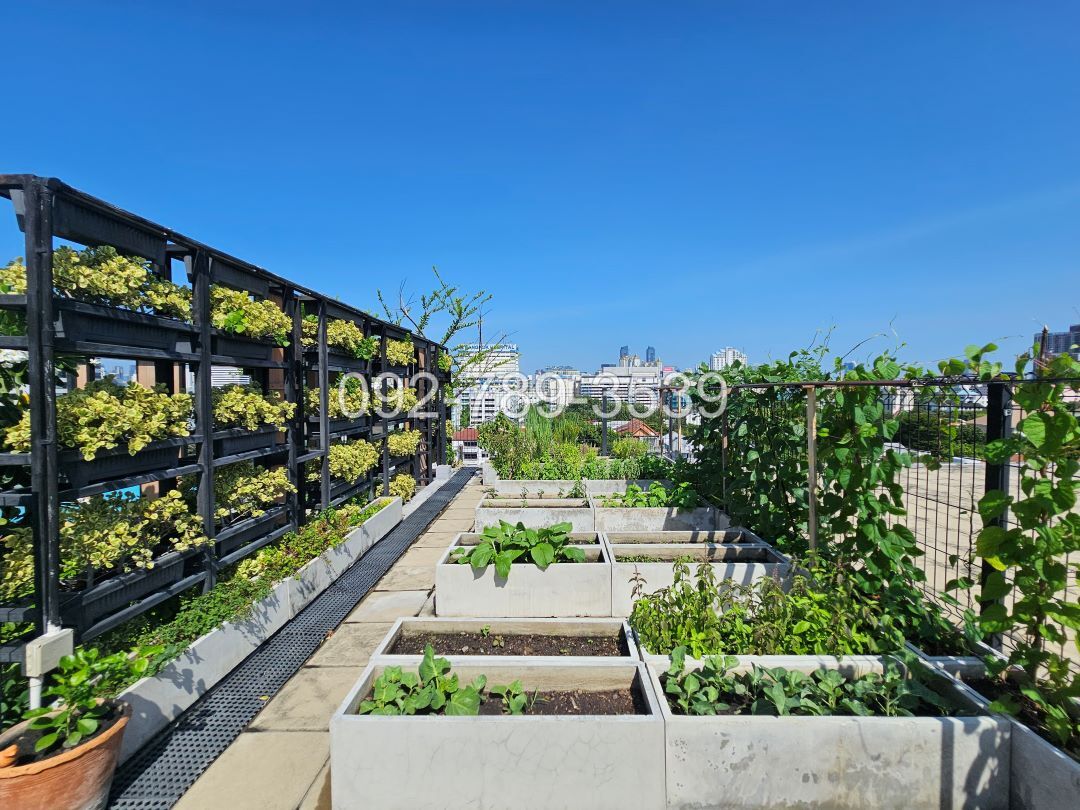 The Remarkable Soonvijai2 เดอะ รีมาร์คเอเบิ้ล ศูนย์วิจัย2