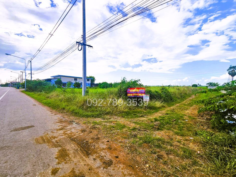 ที่ดินมโนรมย์ ชัยนาท