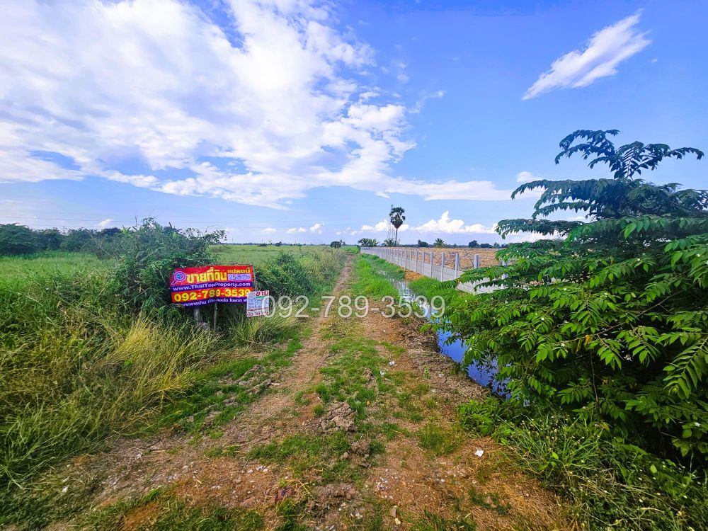 ที่ดินมโนรมย์ ชัยนาท