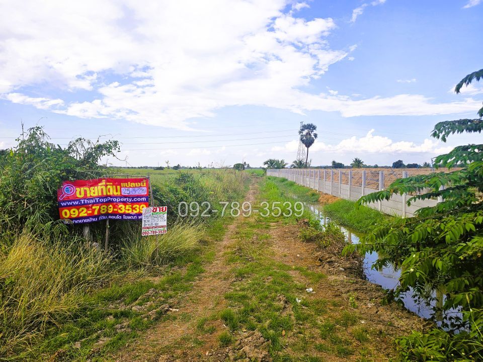 ที่ดินมโนรมย์ ชัยนาท