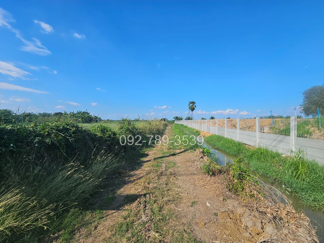 ที่ดินมโนรมย์ ชัยนาท