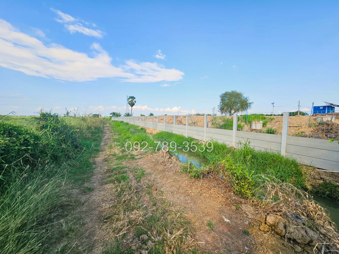 ที่ดินมโนรมย์ ชัยนาท