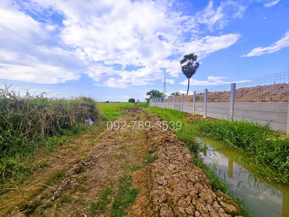 ที่ดินมโนรมย์ ชัยนาท