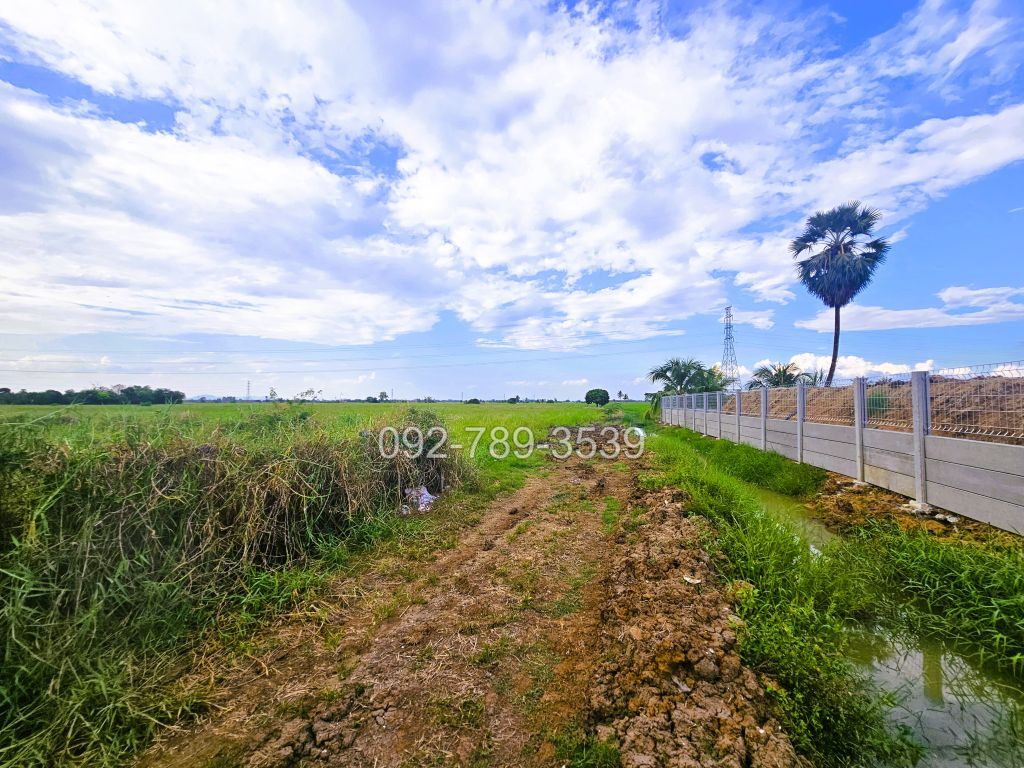 ที่ดินมโนรมย์ ชัยนาท