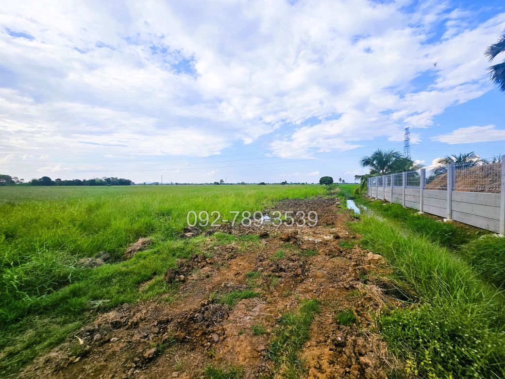 ที่ดินมโนรมย์ ชัยนาท