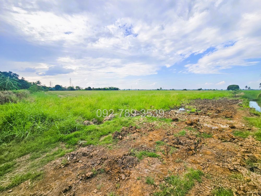 ที่ดินมโนรมย์ ชัยนาท