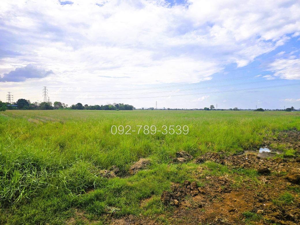 ที่ดินมโนรมย์ ชัยนาท