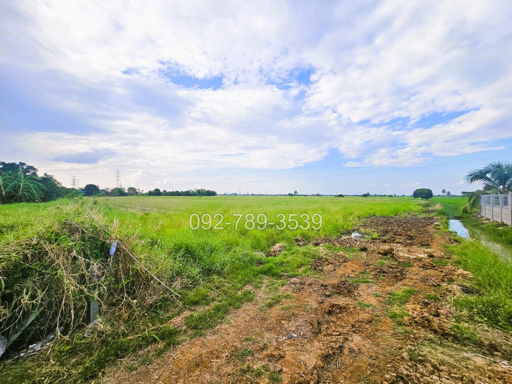 ที่ดินมโนรมย์ ชัยนาท