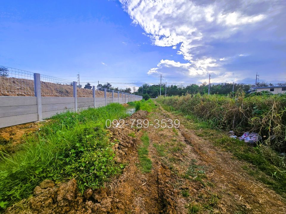 ที่ดินมโนรมย์ ชัยนาท