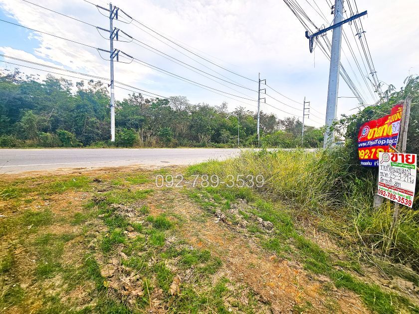 ที่ดินมโนรมย์ ชัยนาท