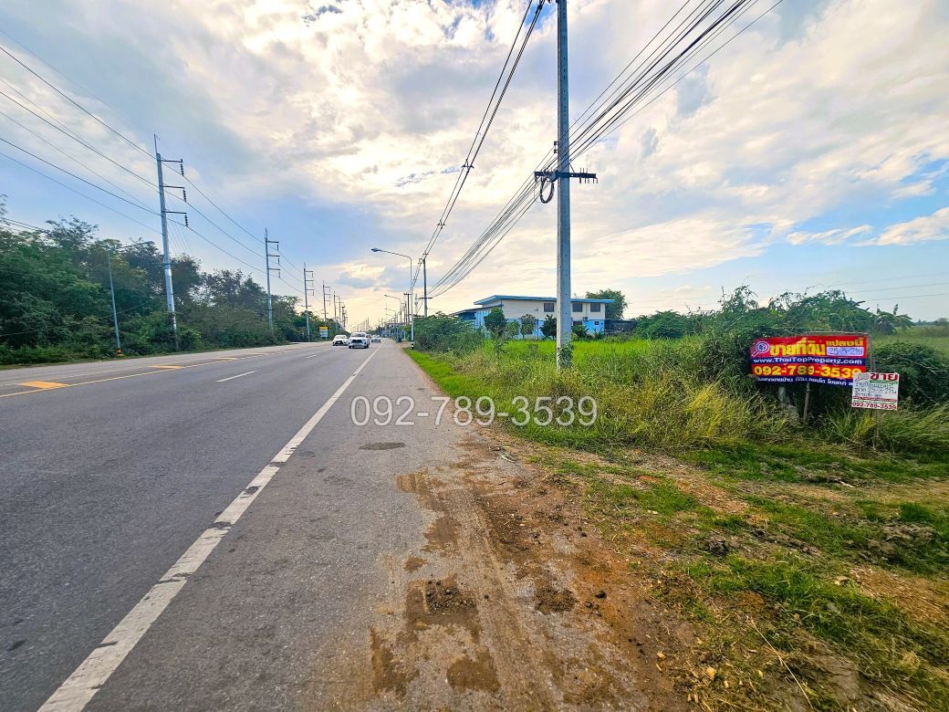 ที่ดินมโนรมย์ ชัยนาท