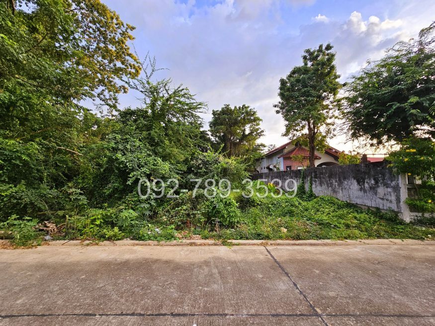 ที่ดินเมืองพิษณุโลก 378 ตร.วา