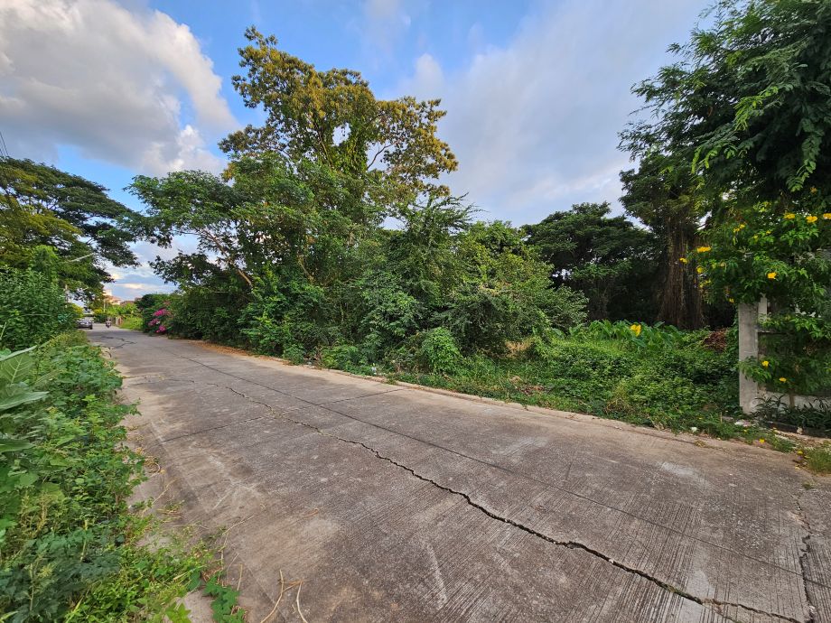 ที่ดินเมืองพิษณุโลก 378 ตร.วา