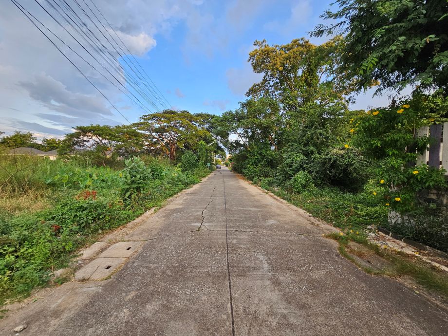 ที่ดินเมืองพิษณุโลก 378 ตร.วา