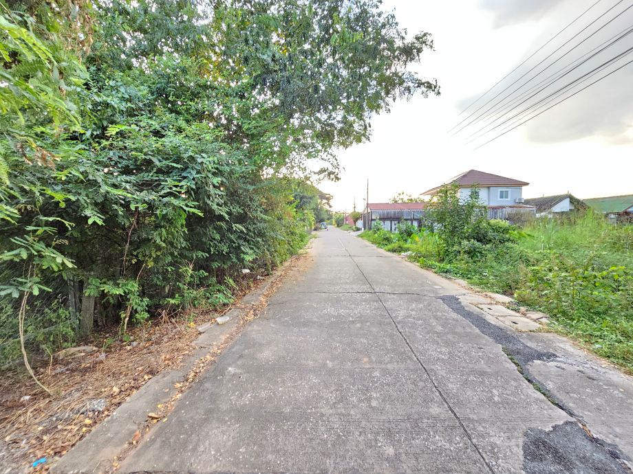 ที่ดินเมืองพิษณุโลก 378 ตร.วา