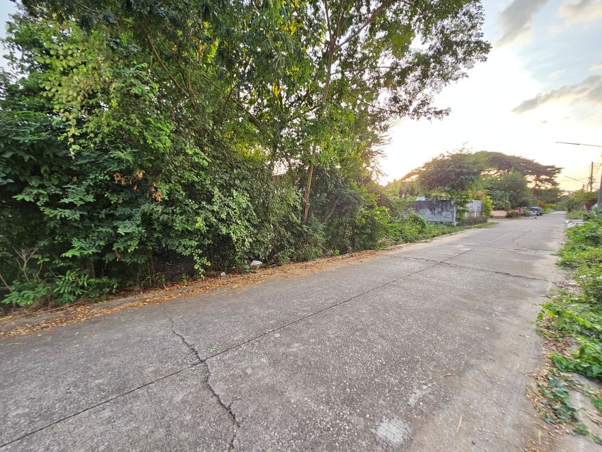 ที่ดินเมืองพิษณุโลก 378 ตร.วา