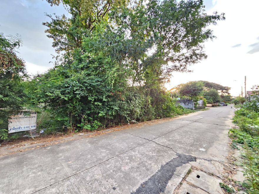 ที่ดินเมืองพิษณุโลก 378 ตร.วา