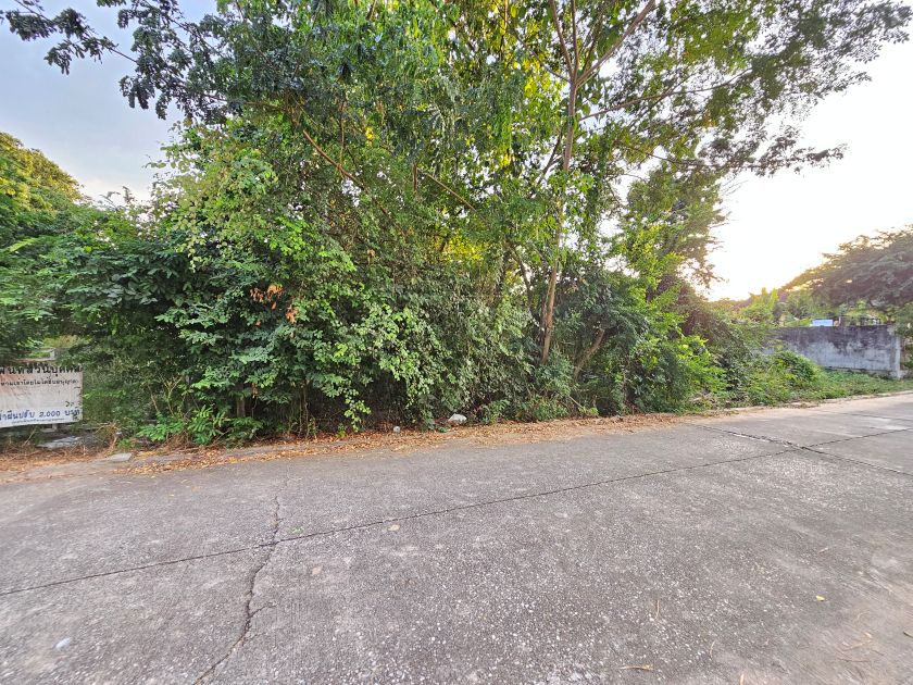 ที่ดินเมืองพิษณุโลก 378 ตร.วา