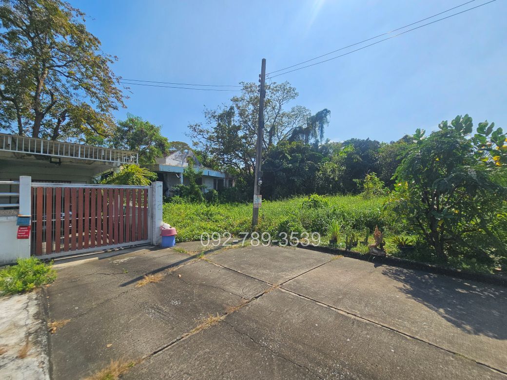 ที่ดินบางระมาด พุทธมณฑลสาย2