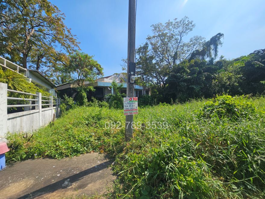 ที่ดินบางระมาด พุทธมณฑลสาย2