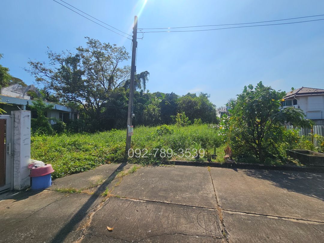 ที่ดินบางระมาด พุทธมณฑลสาย2
